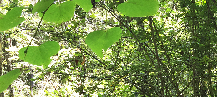 社会责任-【上海；；＞胖薰屎附蛹殴煞萦邢薰尽