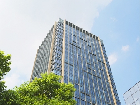 问鼎国际大厦